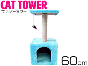 Lbg^[ 60cm XJCu[ u lRnEX RpNg ^s ܖ VяBƂƂčœKu^