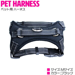 p hbOn[lX MTCY bVf Up ubN/ ypi ybgpi ybgObY hbOpi UACe UObY  hbOEFA xXg  o 