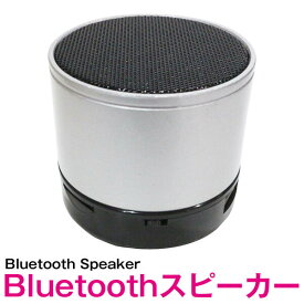ワイヤレス Bluetooth オーディオ スピーカー シルバー 銀 小型 コンパクト 卓上スピーカー MP3プレーヤー スマホ サウンド再生機