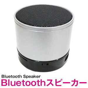 ���C�����X Bluetooth �I�[�f�B�I �X�s�[�J�[ �V���o�[ �� ���^ �R���p�N�g ���X�s�[�J�[ MP3�v���[���[ �X�}�z �T�E���h�Đ��@