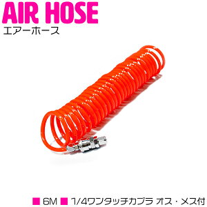 GA[RCz[X 6m F IW ^b`Jv[ 1/4 IXX NCbNJv[ GAz[X GA[_X^[K ^CQ[W Ȃ GAz[X[ RvbT[ C