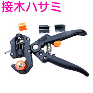 ږ nT~  ͂ K[fjO A ڂ }ڂ oT~  3^Cv߉\ ւnt  | }؂