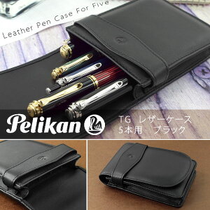 yJ yP[X U[P[X M 5{p ubN PE-TG-51-BK(/uh/Mtg/v[g/AEj/wj/j//)