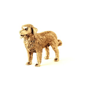 yv  1`3z o[j[Y}EehbO 22ct S[hv[g CMX A[g hbO tBMA RNV p  ObY