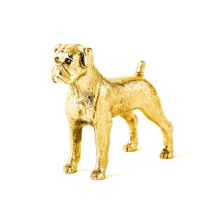 yv  1`3z {NT[ 22ct S[hv[g CMX A[g hbO tBMA RNV p  ObY