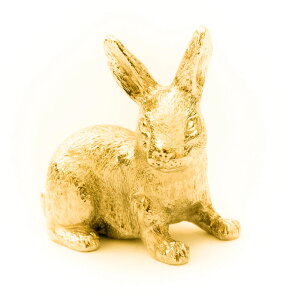 yv  1`3z ETMiLTCYj 22ct S[hv[g CMX Aj} A[g tBMA RNV p  ObY