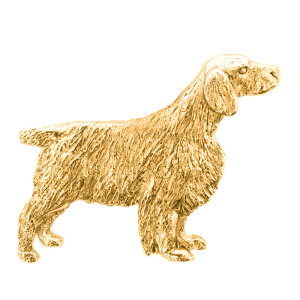 yv  1`3z EFVXvK[XpjG CMX 22ct S[hv[g A[g hbO u[` RNV p  ObY