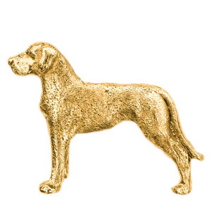 yv  1`3z O[gf CMX 22ct S[hv[g A[g hbO u[` RNV p  ObY