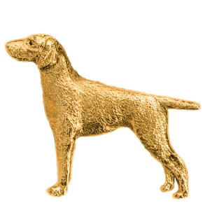 yv  1`3z W[}V[gwA[h|C^[ CMX 22ct S[hv[g A[g hbO u[` RNV p  ObY