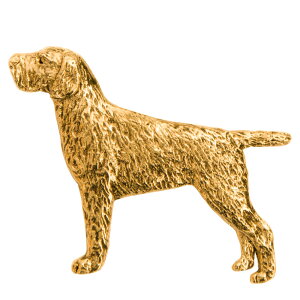 yv  1`3z W[}C[wA[h|C^[ CMX 22ct S[hv[g A[g hbO u[` RNV p  ObY