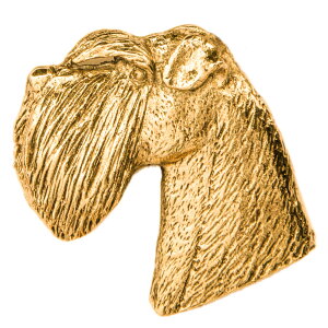 yv  1`3z WCAgViEU[iwbhj CMX 22ct S[hv[g A[g hbO u[` RNV p  ObY