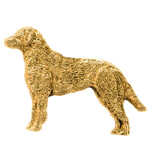 yv  1`3z `FTs[NxCgo[ CMX 22ct S[hv[g A[g hbO u[` RNV p  ObY