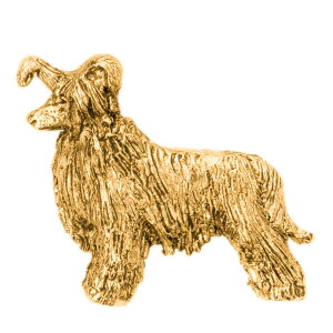 yv  1`3z `Cj[YNXebhhbO ipE_[ptj CMX 22ct S[hv[g A[g hbO u[` RNV p  ObY