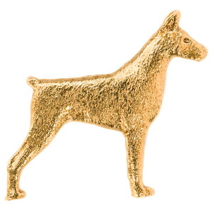 yv  1`3z h[x}ifo[Wj CMX 22ct S[hv[g A[g hbO u[` RNV p  ObY