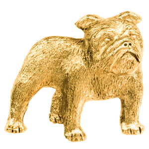 yv  1`3z uhbO CMX 22ct S[hv[g A[g hbO u[` RNV p  ObY