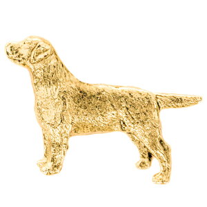 yv  1`3z uh[go[ CMX 22ct S[hv[g A[g hbO u[` RNV p  ObY