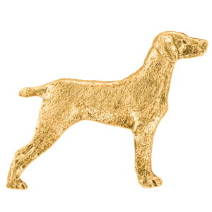 yv  1`3z C}i[ CMX 22ct S[hv[g A[g hbO u[` RNV p  ObY