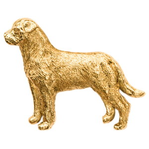 yv  1`3z bgC[ifj CMX 22ct S[hv[g A[g hbO u[` RNV p  ObY