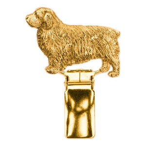 yv  1`3z No[XpjG CMX 22ct S[hv[g A[g hbO V[ O Nbv p  ObY