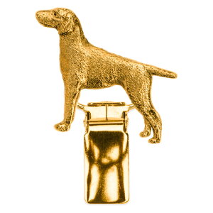 yv  1`3z W[}V[gwA[h|C^[ CMX 22ct S[hv[g A[g hbO V[ O Nbv p  ObY