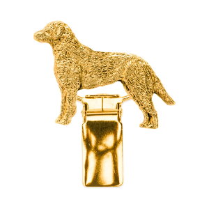 yv  1`3z `FTs[NxCgo[ CMX 22ct S[hv[g A[g hbO V[ O Nbv p  ObY