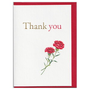 ̓~jJ[h J[l[V GM-4301 36܂Ń[։\ EASE M݌-2-C2