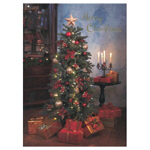 NX}X|XgJ[h c[ƃv[g 1 PX-4281 EASE 30܂Ń[։\ M݌-2-C2