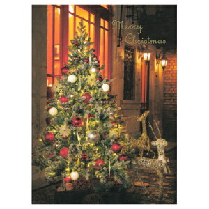 NX}X|XgJ[h Xp̃c[ 1 PX-4360 30܂Ń[։\ EASE M݌-2-C2