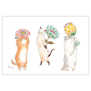 gRRM|XgJ[h ԓE݂ɂ 1 K06-PG-260 ACTIVE 30܂Ń[։\ M݌-2-C2