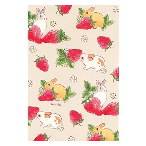 森山標子ポストカード いちごとかくれんぼ 1枚入 L01-PH-85 ACTIVE 30個までメール便可能 M在庫-2-C2