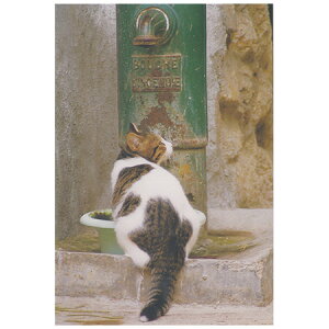 L|XgJ[h 1 PB-434 ACTIVE 30܂Ń[։\ M݌-2-C2