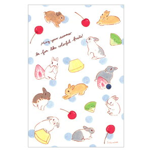 森山標子 夏柄ポストカード 色とりどりのフルーツみたいに楽しい夏を 1枚入 PH-92s ACTIVE 30個までメール便可能 M在庫-2-C2