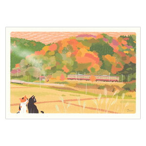 т˂H|XgJ[h HFpb`[N 1 PPA-219a ACTIVE 30܂Ń[։\ M݌-2-C2