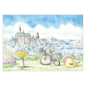 cVƃ|XgJ[h WFh 1 SU-246 ACTIVE 30܂Ń[։\ M݌-2-C2