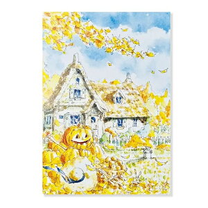 cVƃ|XgJ[h nEB Home 1 SU-342 ACTIVE 30܂Ń[։\ M݌-2-C2