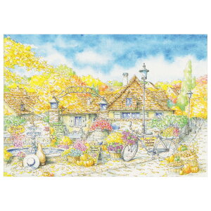 cVƃ|XgJ[h 1 SU-626 ACTIVE 30܂Ń[։\ M݌-2-C2