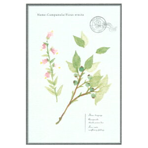 |XgJ[h Jpj 1 VP-14 RYURYU 30܂Ń[։\ M݌-2-C2