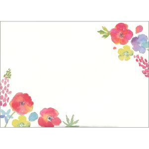 naminami AllƃsiX 4 LS-14626 8܂ŃlR|X։\ ClothesPin M݌-2-D1