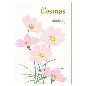 ň|XgJ[h RXX 1 PC-16354 30܂Ń[։\ ClothesPin M݌-2-C2