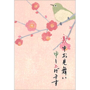 ͂ Ɣ~ 5 CGKH120 30܂Ń[։\ NGCgG M݌-2-C2