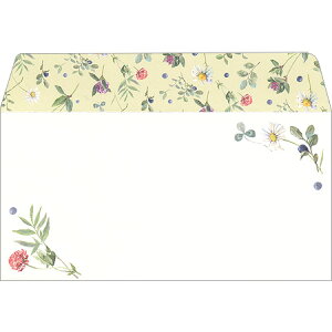  ͂̂ 6 EV-544 18܂Ń[։\ Frontia M݌-2-D4