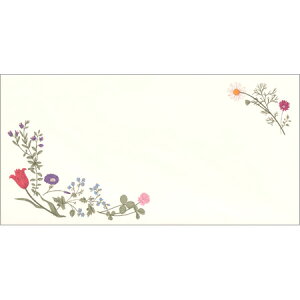  t̑ 6 EV-579 18܂Ń[։\ Frontia M݌-2-D4