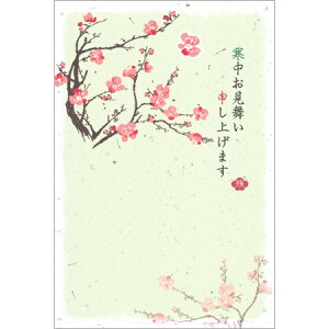 ͂ ~ 3 KPC-042 30܂Ń[։\ FRONTIA M݌-2-C2