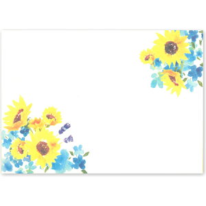 ̐敕 ֑ 5 ID-027 ay 6܂Ń[։\ M݌-2-D1