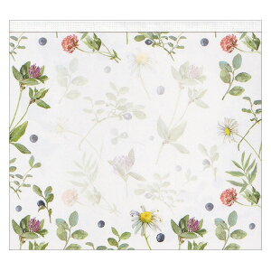 ubN ͂̂ 4120 WP-080 Frontia 6܂Ń[։\ M݌-2-C4