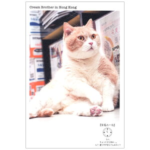 N[ɂ|XgJ[h 1 AE15-790 wSF 30܂Ń[։\ M݌-2-C2