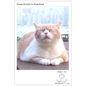 N[ɂ|XgJ[h 1 AE15-792 wSF 30܂Ń[։\ M݌-2-C2