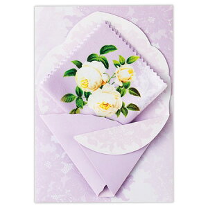 }`NXtJ[h p[v EAP-803-650 14܂Ń[։\ Hallmark M݌-2-C2