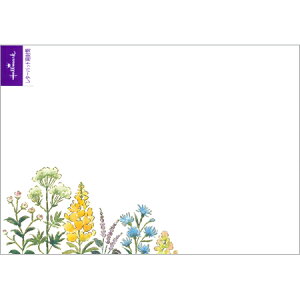  WCttB[h 4 EEE-791-490 Hallmark 8܂Ń[։\ M݌-2-D2