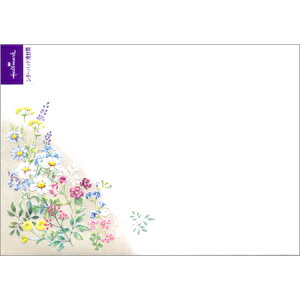  s[XtK[f 4 EEE-791-513 Hallmark 8܂Ń[։\ M݌-2-D2